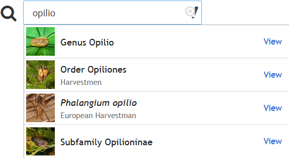 ../_images/inat-taxon-autocomplete.png